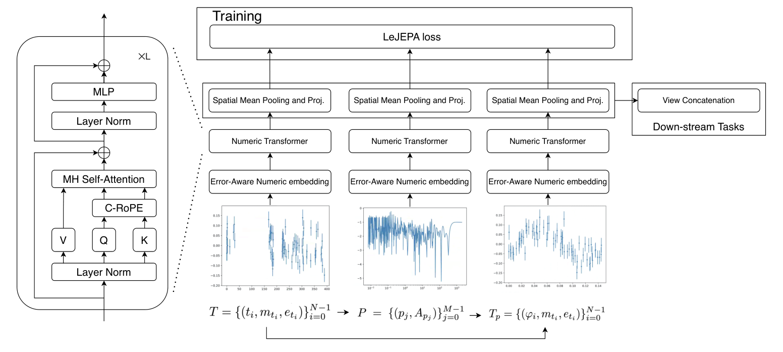 Architecture of the light-curve representation model